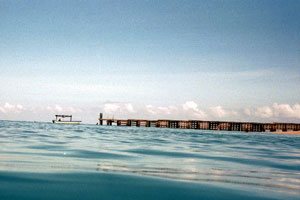 Doctors Cave Beach