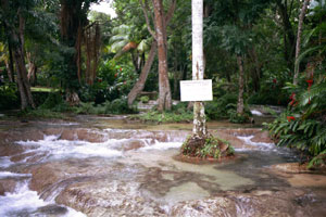 Dunn's River Fall