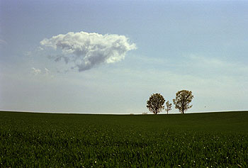 Parent-child tree