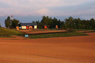 View point and shop