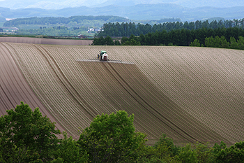 field