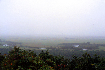 Kushiroshitigen on autum