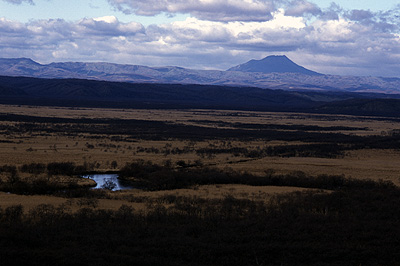 Mt.oakandake