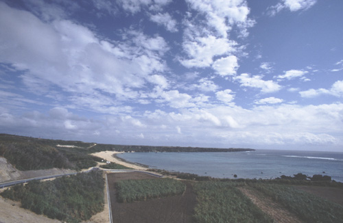 東平安名崎　higasihenazaki