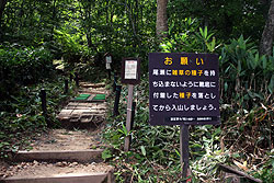 鳩待入口
