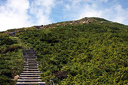 山頂へ