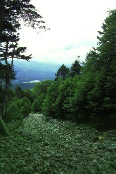 Tateshina yama