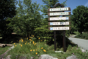 歩道の入口