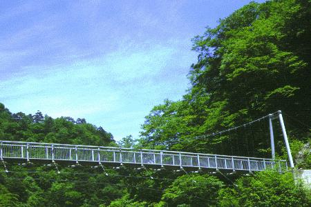 つり橋(不動の滝)