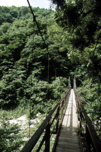 つり橋(入口)