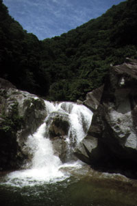 小滝