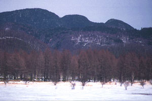 Mt. Mitake