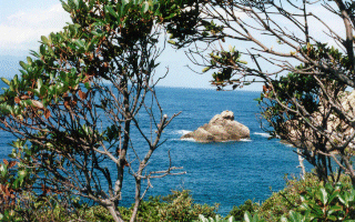 Photo:A coast in Yakushima