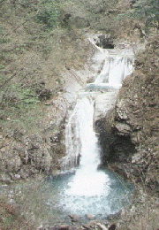 Nishizawa