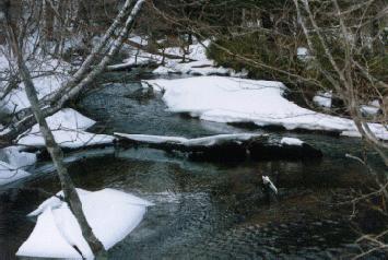 Yukawa river