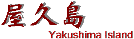 Yakushima Photo